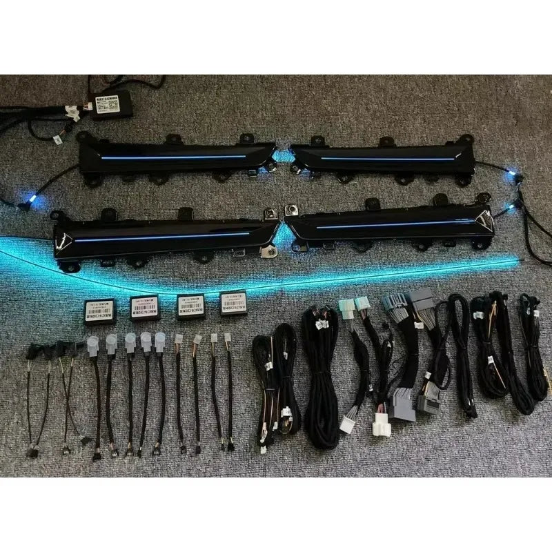 Auto AccessariesFor Honda Civic 11th INTEG 2022+ Interior Glow Neon Lighting Decorative Lights Ambient Atmosphere Lights Door Pa