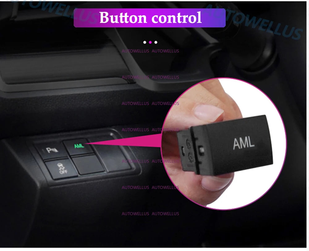 Carbon Fiber look Ambient light for Honda Civic 11TH 2022-2025 OEM Dynamic Ambient Lamp Original Car 1:1 Mold Kit APP Control