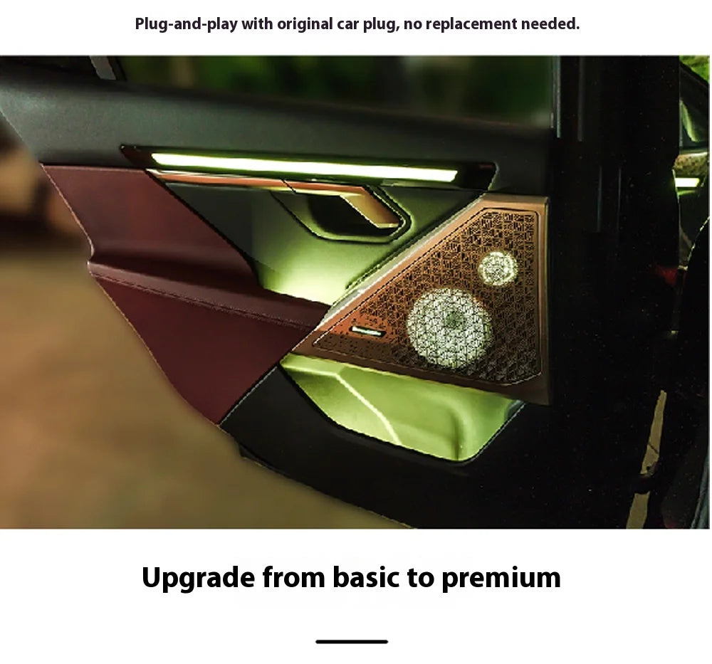 Black Grayt Door Panel Replacement Crystal Ambient Light For BMW 5 Series G60 Rear Door, 5 Series G60 Ambient Lighting Upgrade